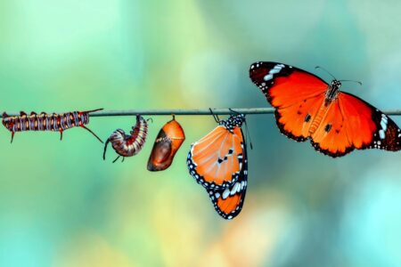 Sustaining Impact: The Subtle Challenges That Derail Our Best Intentions